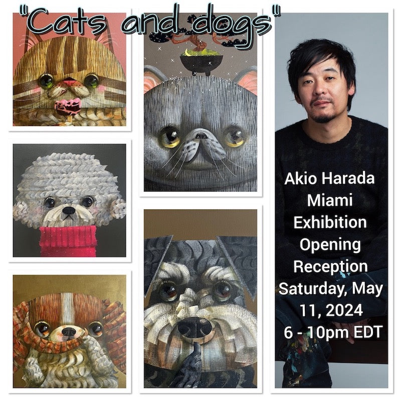 Akio Harada's Opening Reception in Miami on May 11